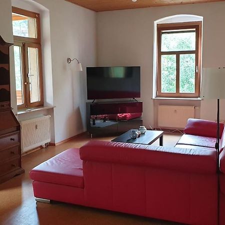 Idyllische Ferienwohnung In Zentrumsnaehe Dresde Extérieur photo