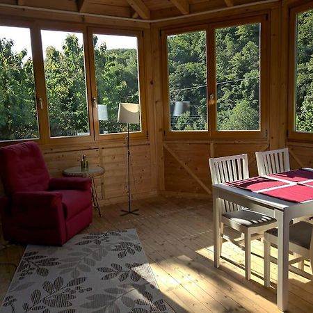 Idyllische Ferienwohnung In Zentrumsnaehe Dresde Extérieur photo