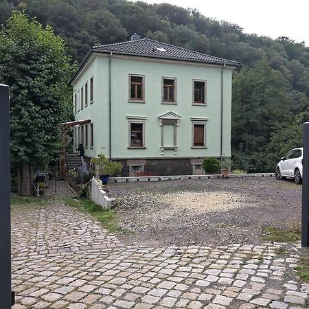 Idyllische Ferienwohnung In Zentrumsnaehe Dresde Extérieur photo