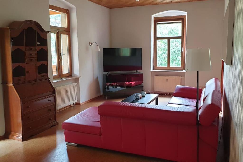 Idyllische Ferienwohnung In Zentrumsnaehe Dresde Extérieur photo