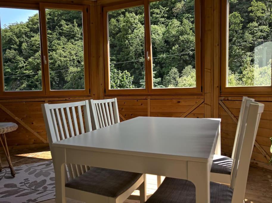 Idyllische Ferienwohnung In Zentrumsnaehe Dresde Extérieur photo