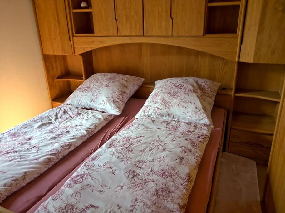 Idyllische Ferienwohnung In Zentrumsnaehe Dresde Extérieur photo