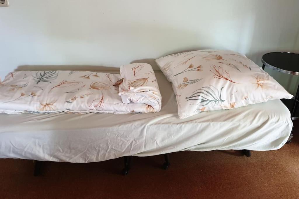 Idyllische Ferienwohnung In Zentrumsnaehe Dresde Extérieur photo