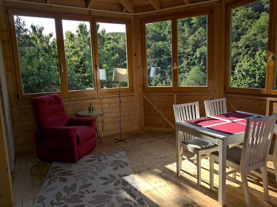 Idyllische Ferienwohnung In Zentrumsnaehe Dresde Extérieur photo