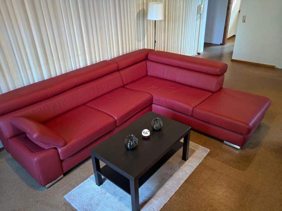 Idyllische Ferienwohnung In Zentrumsnaehe Dresde Extérieur photo