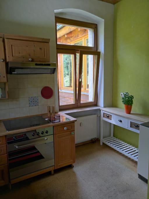 Idyllische Ferienwohnung In Zentrumsnaehe Dresde Extérieur photo