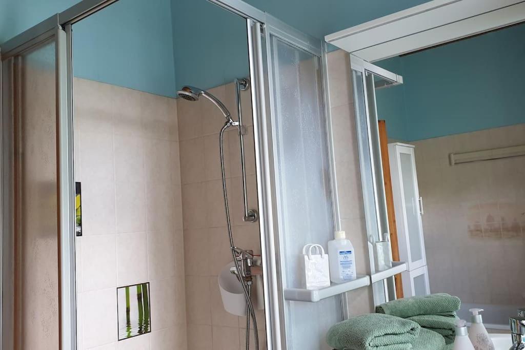 Idyllische Ferienwohnung In Zentrumsnaehe Dresde Extérieur photo