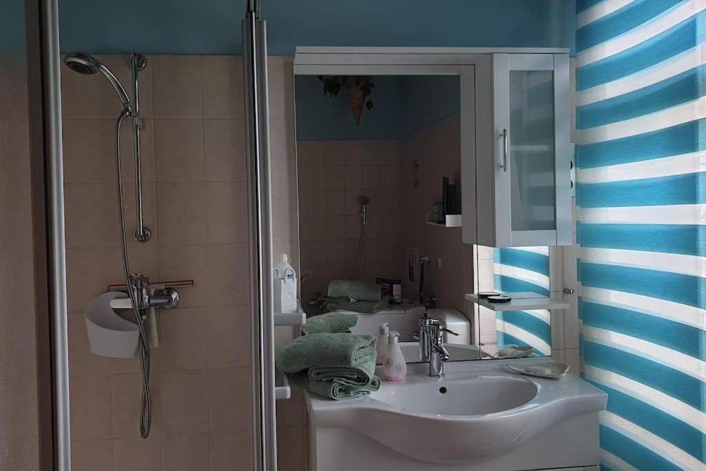 Idyllische Ferienwohnung In Zentrumsnaehe Dresde Extérieur photo