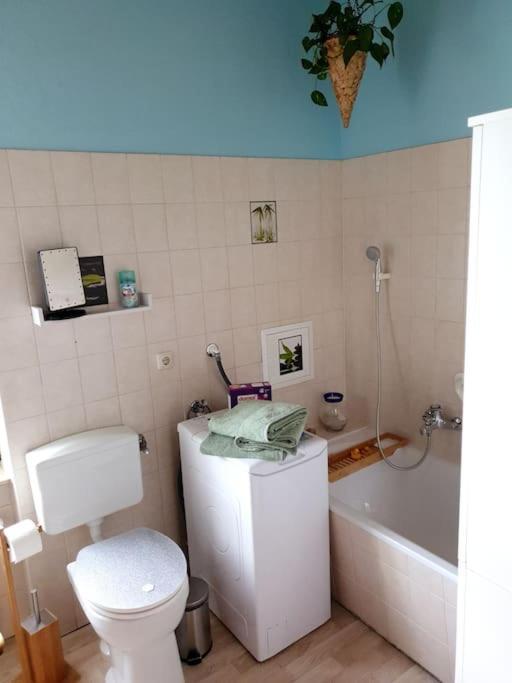 Idyllische Ferienwohnung In Zentrumsnaehe Dresde Extérieur photo