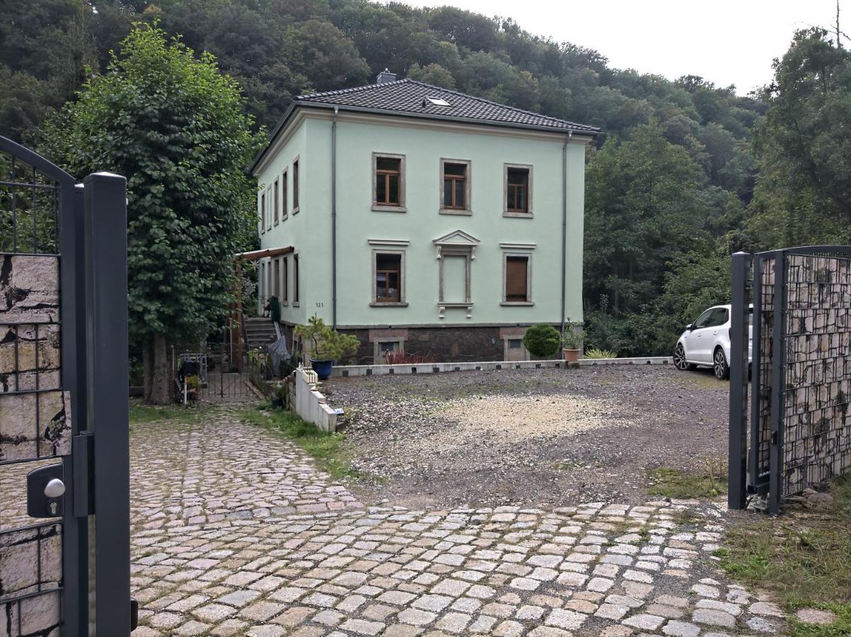 Idyllische Ferienwohnung In Zentrumsnaehe Dresde Extérieur photo